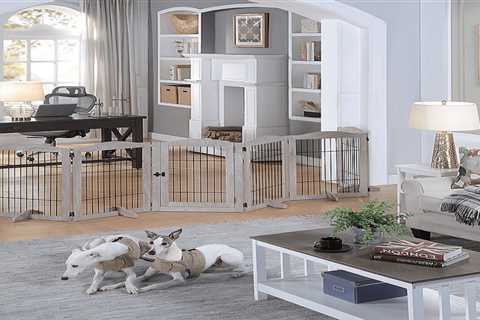 10 Best Pet Gates for Cats and Dogs