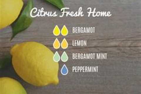 Bergamot Mint Diffuser Recipe - Fresh Home by Loving Essential Oil with lemon, bergamot and..