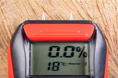 8 Best Wood Moisture Meters