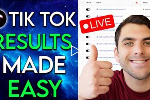 Tik Tok Ads Results Made EASY! (Day 2 Breakdown)