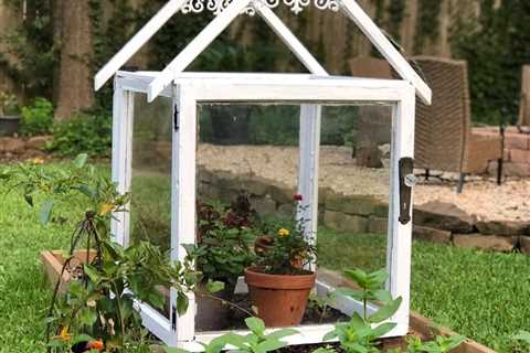 9 DIY Mini Greenhouse Ideas