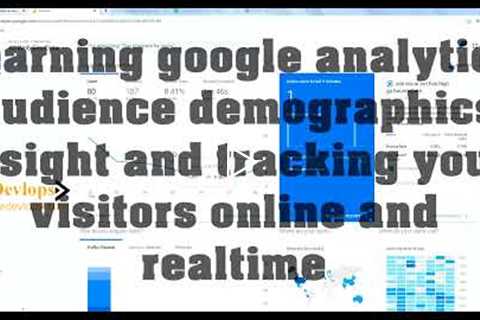 Learning google analytics Audience demographics insight and tracking your visitors