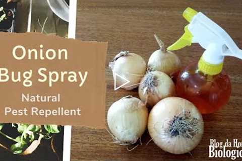 Onion Bug Spray - Natural Pest Repellent