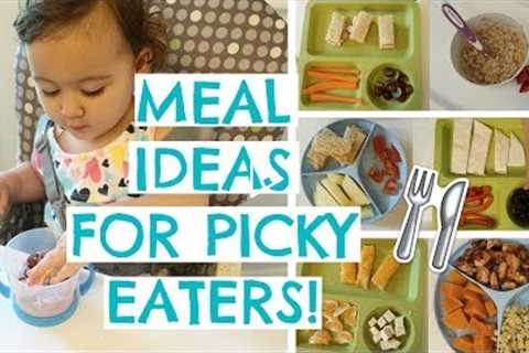 TODDLER MEALS FOR PICKY EATERS | TODDLER MEAL IDEAS | Hayley Paige