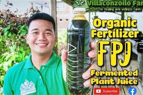 How to make Organic Fertilizer l Fermented Plant Juice (FPJ)