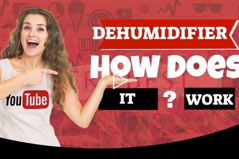 Why Would You Need A Dehumidifier - What Is A Dehumidifier And How Does It Work - Top Dehumidifier