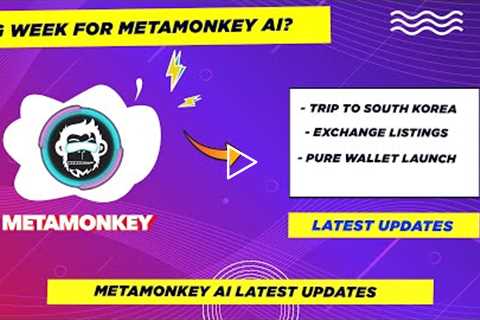 🚨Metamonkey Update - Pure Wallet,Exchange Listing,South Korea Trip!✅