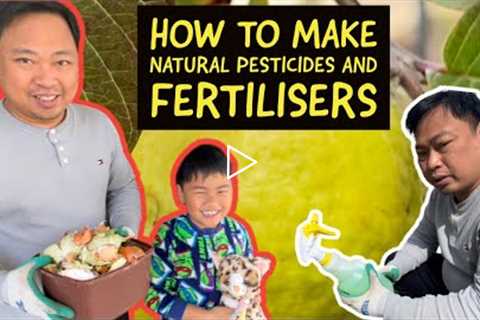 How to make natural fertiliser and pesticides | Home Gardening