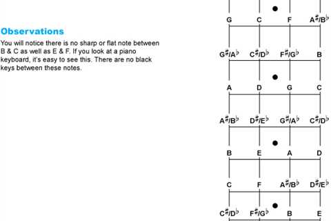 Learn Bass Guitar Notes Properly By Professional Bassist