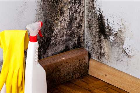 Do you have to leave your house during mold remediation?