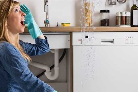 Who is Responsible For Plumbing Repairs in a Condo? - SmartLiving - (888) 758-9103