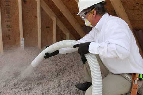 What is Extraneous Cellulose Material in The Pest Control? - SmartLiving - (888) 758-9103