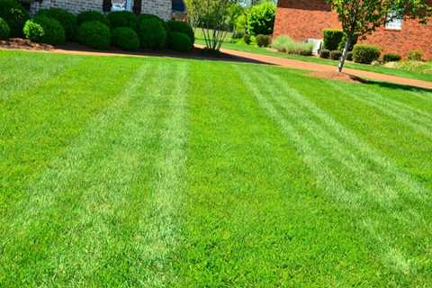 What is The Average Price For Someone to Mow a Lawn? - SmartLiving - (888) 758-9103