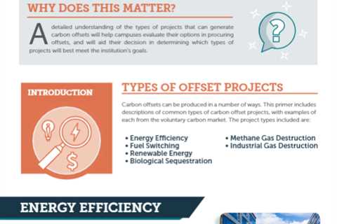 What Are Some Examples of Carbon Offsets?