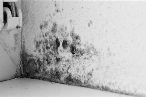 Does mould keep coming back?