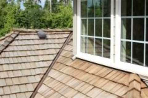 Top Ways to Clean Your Home Gutters and Prevent Mold Growth