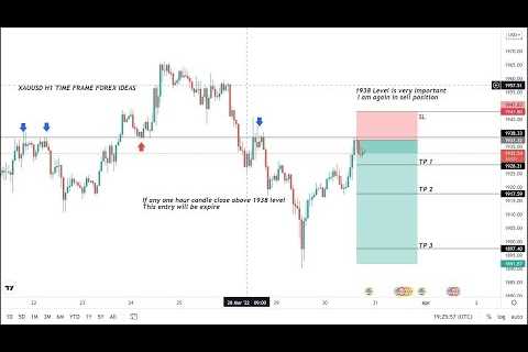 LIVE XAUUSD GOLD ANALYSIS FORECAST 19/04/2023 WENESDAY #GOLD #XAUUSD