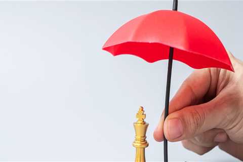 How would business interruption insurance coverage be useful?