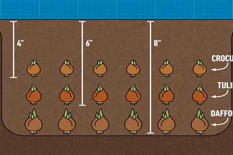 What Is the Lasagna Planting Method?