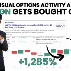IMGN UOA Predicts ABBV $31/Share Buyout (+1285% Trade)