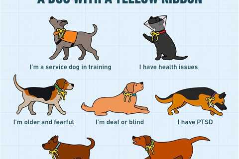 If You See a Yellow Ribbon on a Dog Collar, This Is What It Means