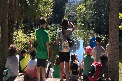 Exploring the Exciting World of Science Fairs in Broward County, FL