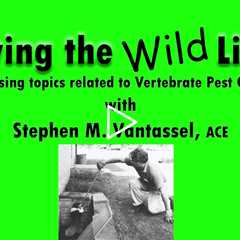 Avitrol Unveiled: Ethical Bird Control and the Future of Wildlife Management with Stephen Vantassel