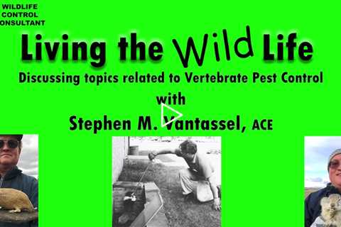 Avitrol Unveiled: Ethical Bird Control and the Future of Wildlife Management with Stephen Vantassel
