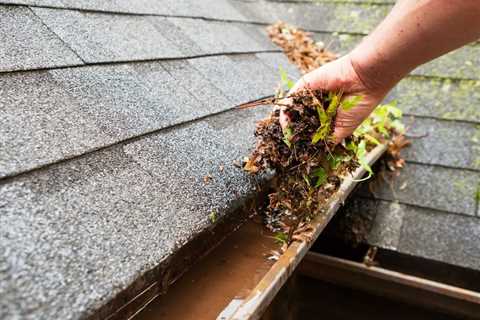Essential Guide to Cleaning Home Gutters