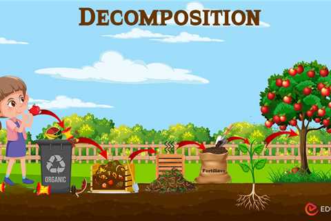 Decomposition