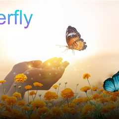 Essay on Butterfly