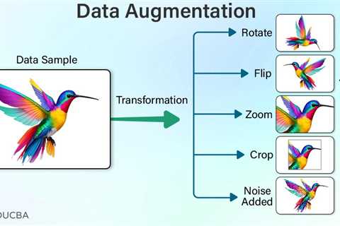 Data Augmentation