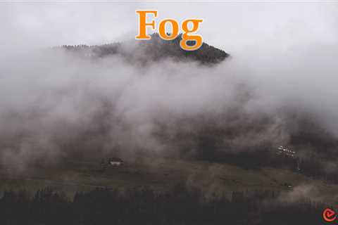 Essay on Fog