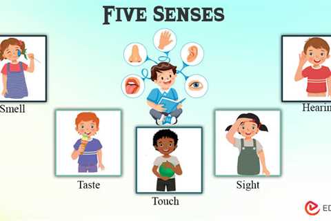 Five Senses