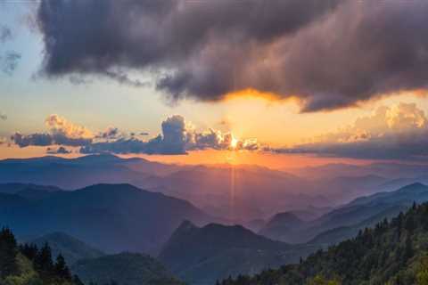 Exploring the Great Outdoors: Bookstores in Northeastern North Carolina