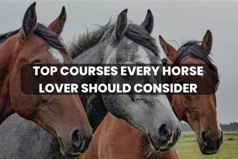 8 Top Courses Every Horse Lover Should Consider