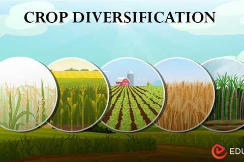 Crop Diversification