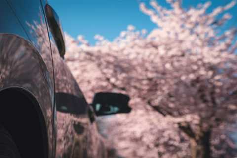 Spring into the Season with a Car Update at Saline Automotive
