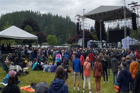 The Impact of Local Government Support on the Music Industry in King County, Washington