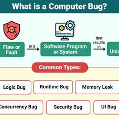 Computer Bug