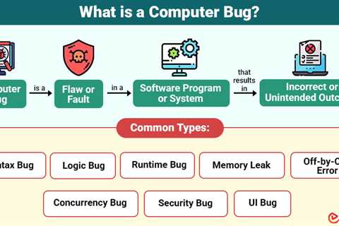 Computer Bug