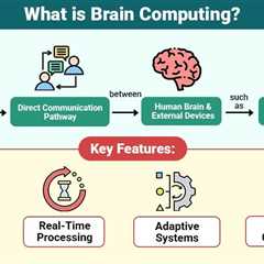 Brain Computing