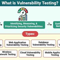 Vulnerability Testing