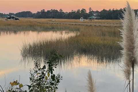 The Average Age Range of Students at Music Schools in Charleston County, SC: An Expert's Perspective