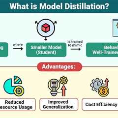 Model Distillation