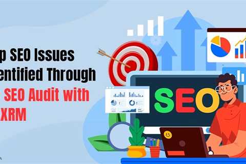 SEO Audit with DAXRM