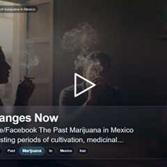 Puff, puff, pass? The cloudy legality of marijuana in Mexico
