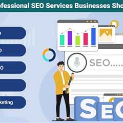 Professional SEO Services