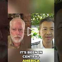 Travel Central America: 3 Months House-Sitting #shorts