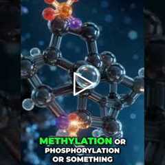 Your Liver's SECRET Detox: Phase 1 Activation Explained! #shorts